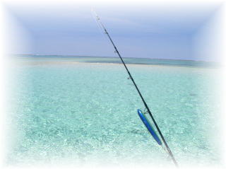 2005111.9.11 australia kenreef 